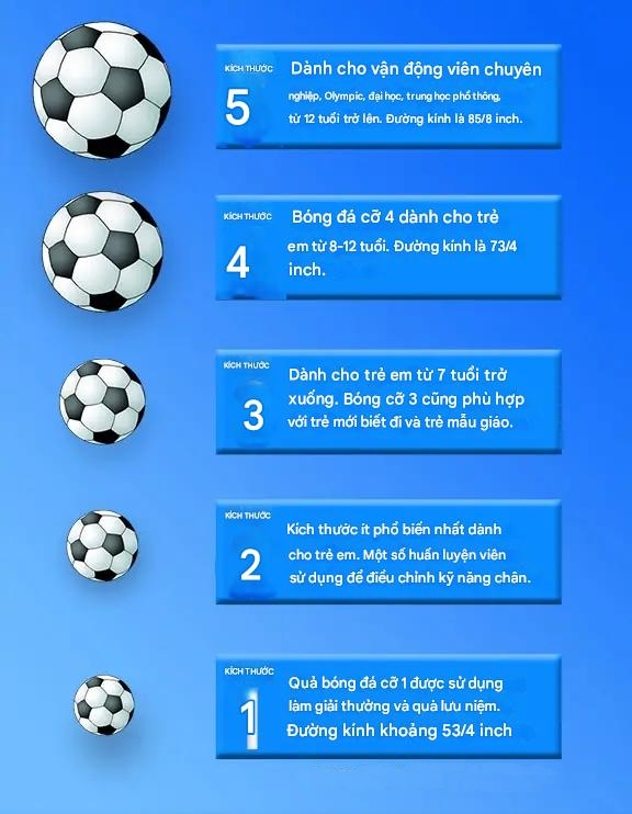 Các kích thước quả bóng đá